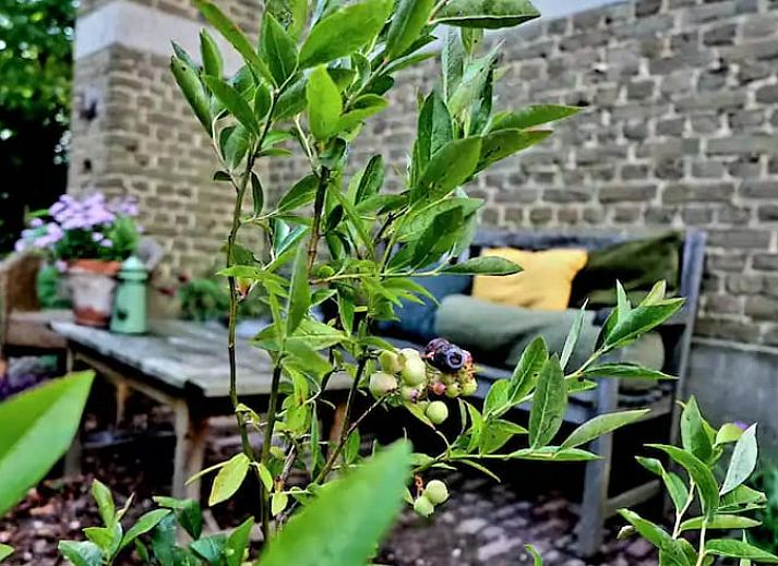 Unterkunft 393302 - Ferienhaus Zuid Limburg - Vakantiehuisje in Heerlen