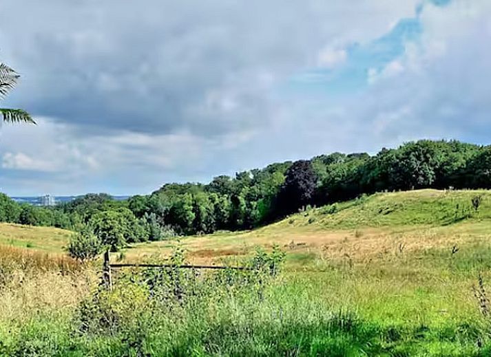 Eetgedeelte in Vakantiehuis in Heerlen, Zuid Limburg met rustieke tafel en groene planten.