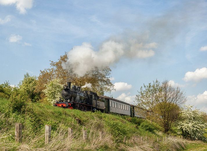 Guest house 393950 - Holiday property Zuid Limburg - Vakantiehuis Bungalowpark Simpelveld - Delta 139