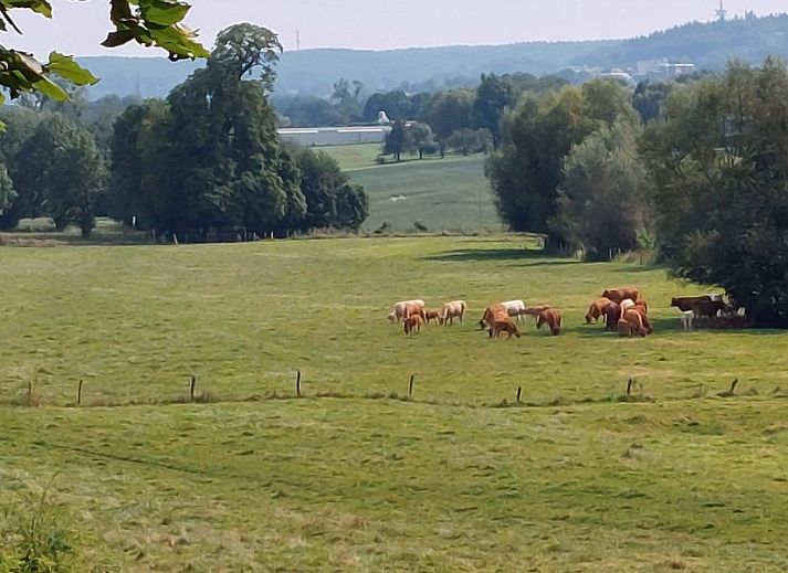 Volledig uitgeruste keuken in Butterflies vakantiehuis, Simpelveld, Zuid Limburg met moderne apparatuur en groene tegels.