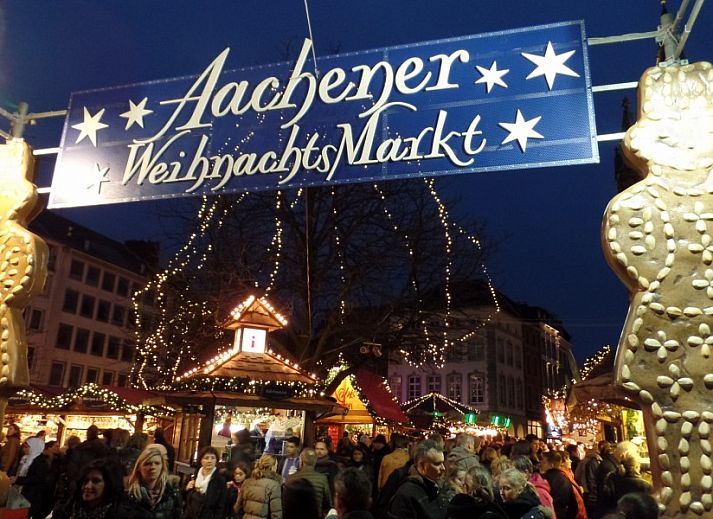 Volledig uitgeruste keuken in Butterflies vakantiehuis, Simpelveld, Zuid Limburg met moderne apparatuur en groene tegels.