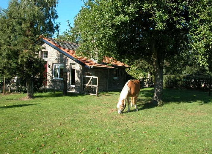 Verblijf 394001 • Vakantiewoning Midden Limburg • Vakantiewoning 4 pers. luxe met echte OPEN HAARD .