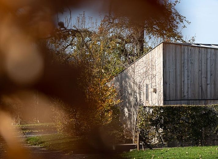 Unterkunft 394406 - Ferienhaus Zuid Limburg - Huisje in Sint Geertruid