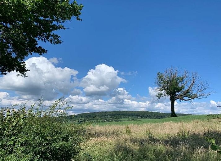 Vakantiehuis in Sint Geertruid met kleurrijke bloementuin, Zuid Limburg.