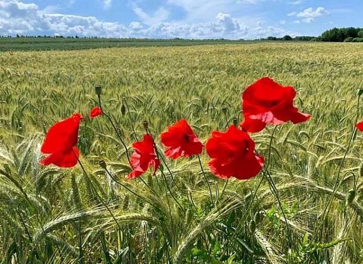 Stijlvolle woonkamer in vakantiehuis Sint Geertruid, Limburgse gezelligheid.