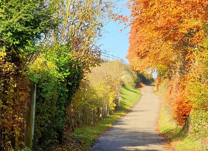 Gezellige binnenruimte van Huisje in Valkenburg aan de Geul, vakantiewoning in Limburg, met rustieke houten trap.