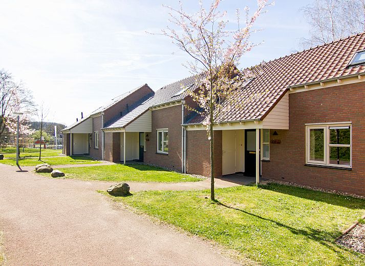 Hoog Vaals 8-person bungalow 8L2 in Vaals with sunny terrace and comfortable deck chairs.
