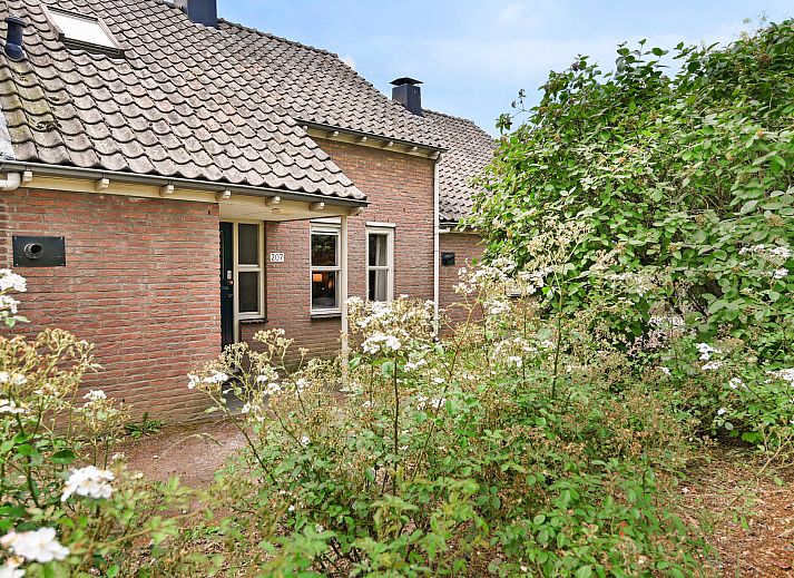 Vorderansicht des Hoog Vaals 2-Bett-Bungalows 2C1 in Vaals, Suedlimburg, umgeben von gruener Natur.