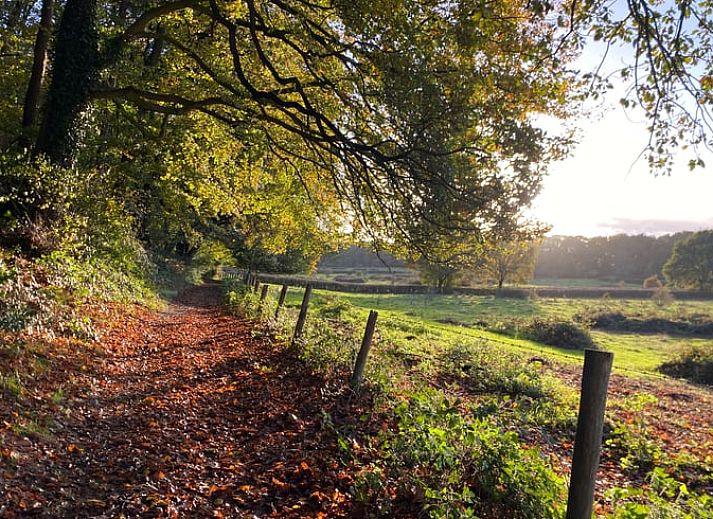 Verken de herfstpaden rondom Huisje in Mook, een idyllisch vakantiehuis in Zuid Limburg, perfect voor natuurliefhebbers.