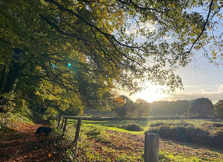 Geniet van de serene heidevelden bij Huisje in Mook, een charmante vakantiewoning in Zuid Limburg, omgeven door prachtige natuur.