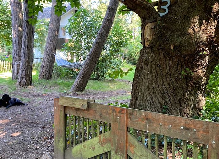 Geniet van de serene heidevelden bij Huisje in Mook, een charmante vakantiewoning in Zuid Limburg, omgeven door prachtige natuur.