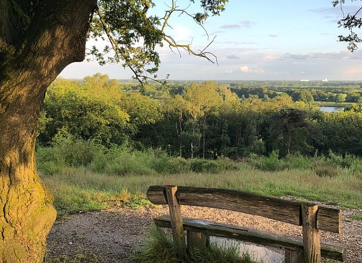 Geniet van de serene heidevelden bij Huisje in Mook, een charmante vakantiewoning in Zuid Limburg, omgeven door prachtige natuur.