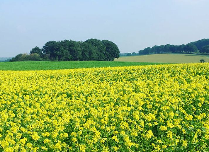 Sfeervolle slaapkamer in Huisje in Mook, Zuid Limburg, met kleurrijke decoraties voor een knusse vakantiewoning ervaring.