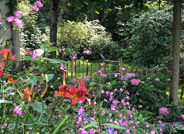 Sfeervolle slaapkamer in Huisje in Mook, Zuid Limburg, met kleurrijke decoraties voor een knusse vakantiewoning ervaring.