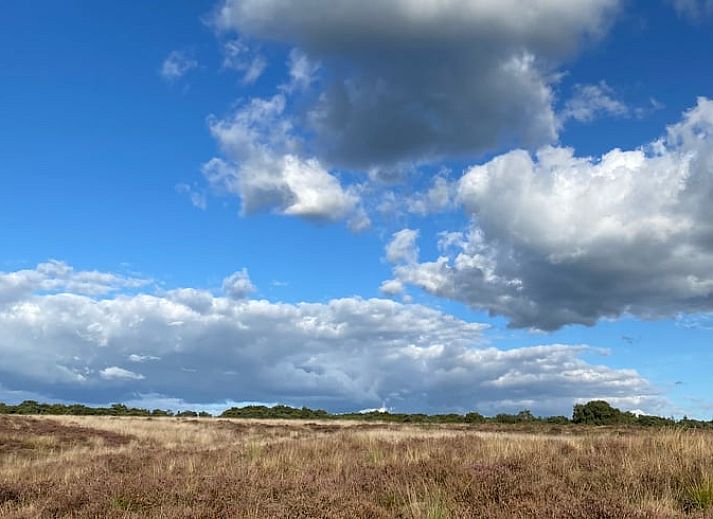 Ontdek de kleurrijke paddenstoelen in de bossen rond Huisje in Mook, een betoverend vakantiehuis in Zuid Limburg.