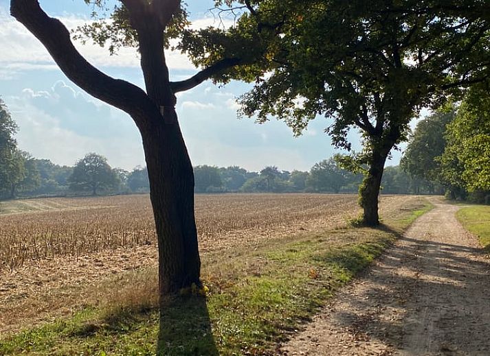 Verblijf 395208 - Vakantiewoning Zuid Limburg - Huisje in Mook