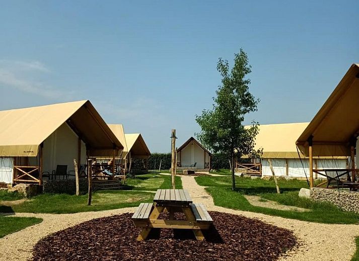 Unterkunft 395925 - Zelthaus Zuid Limburg - Papillio