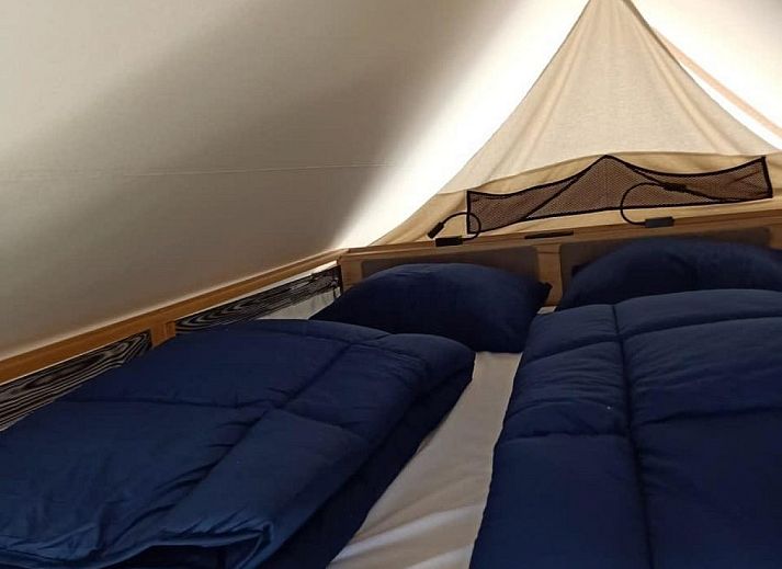 Unterkunft 395925 - Zelthaus Zuid Limburg - Papillio