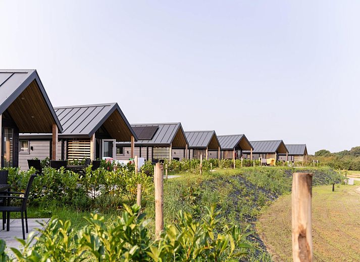Unterkunft 395947 - Ferienhaus Zuid Limburg - «Berg Lodge»