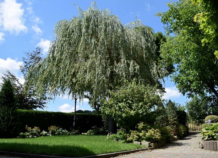 Geniessen Sie den sonnigen Garten des Ferienhauses in Gulpen - Wittem, einem charmanten Ferienhaus im malerischen Suedlimburg, Limburg.