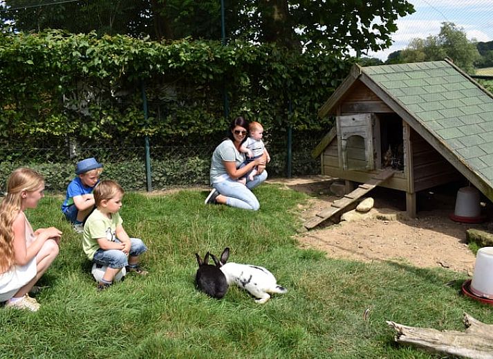 Erholsamer Garten im Ferienhaus in Gulpen - Wittem, umgeben von gruener Natur in Suedlimburg, ideal zum Entspannen.