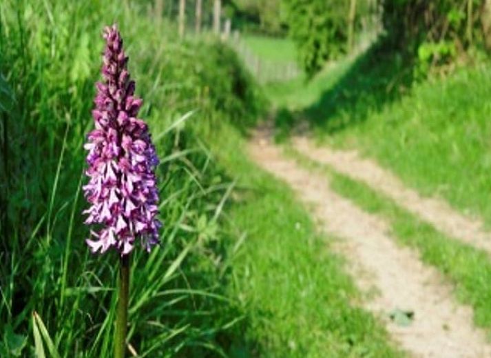 Gezellige eetruimte in Vakantiehuisje in Scheulder, Zuid Limburg, met rieten stoelen.