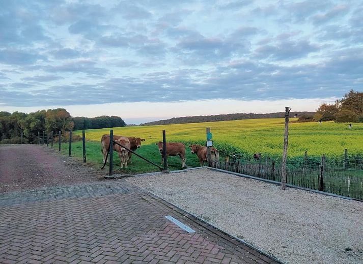 Guest house 396306 - Holiday property Zuid Limburg - Logeren bij Laura