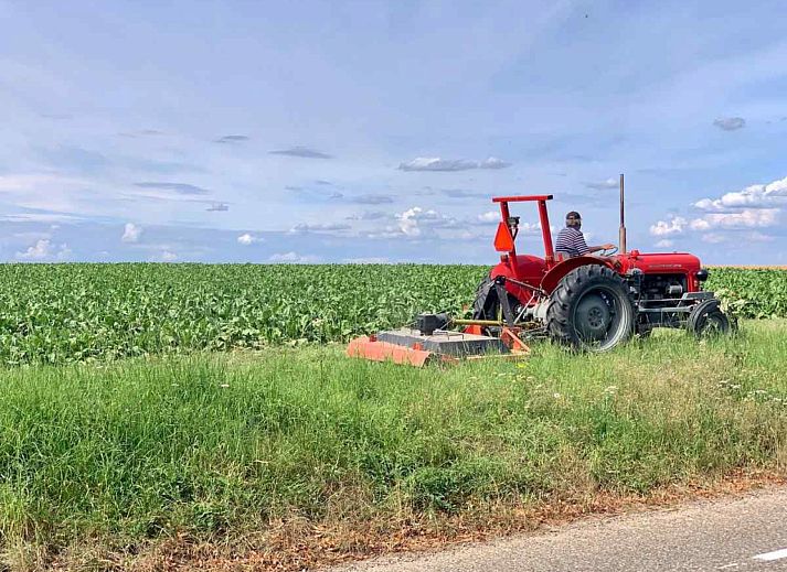 Unterkunft 397007 - Ferienhaus Zuid Limburg - L023