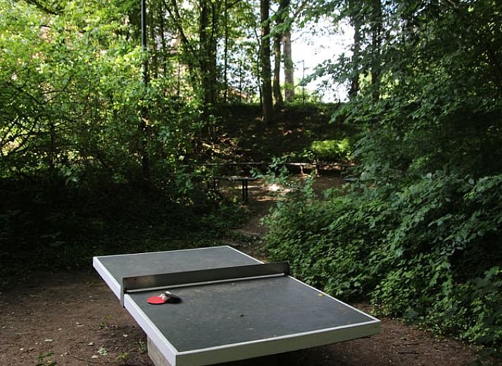 Stijlvolle eetkamer in Vakantiehuisje in Ulestraten, Zuid Limburg geschikt voor grote gezelschappen.