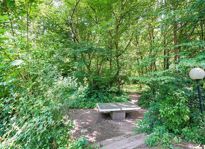Unterkunft 397410 - Ferienhaus Zuid Limburg - Waterval 8P