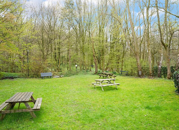 Unterkunft 397411 - Ferienhaus Zuid Limburg - Vliek 14P