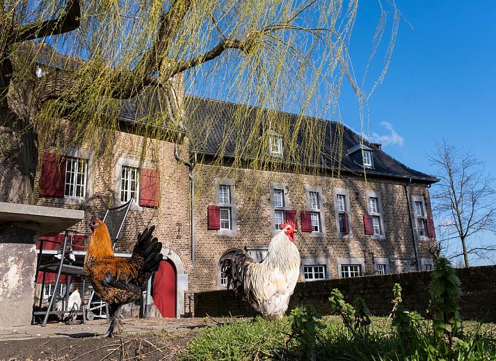 Guest house 397703 - Apartment Zuid Limburg - Meschermolen 11