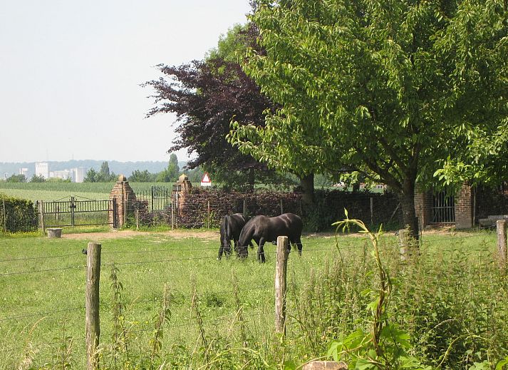 Guest house 397703 - Apartment Zuid Limburg - Meschermolen 11
