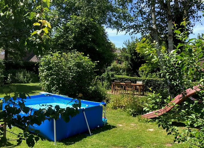Bluehende Rosen im Garten des Ferienhauses in Beutenaken, Suedlimburg, eine Oase der Ruhe.