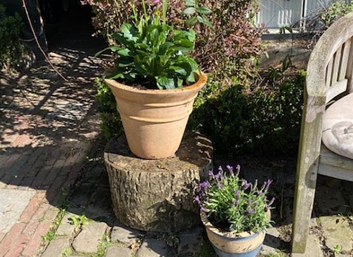 Gemuetlicher Garten mit Terrasse im Ferienhaus in Beutenaken, Suedlimburg, ideal zum Entspannen.