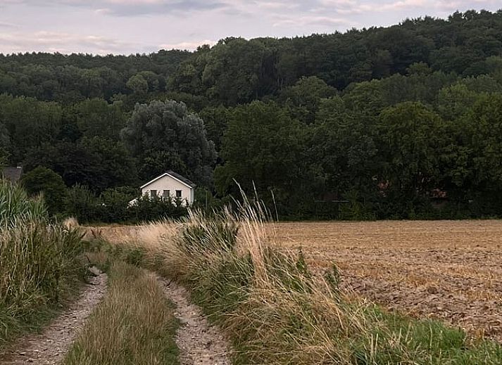 Cozy dining room in vacation home in Beutenaken, South Limburg, with attractive decorations and modern kitchen facilities.