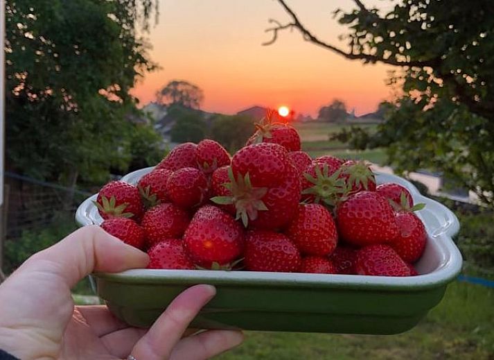 Eingang zum Ferienhaus in Sibbe mit gepflasterter Zufahrt in Suedlimburg, Limburg.