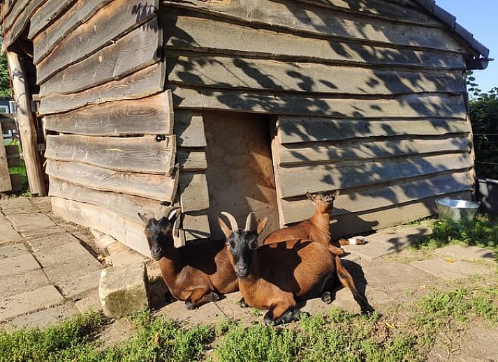 Gemuetliches Schlafzimmer im Ferienhaus in Sibbe mit Blick auf die Natur in Suedlimburg, Limburg.
