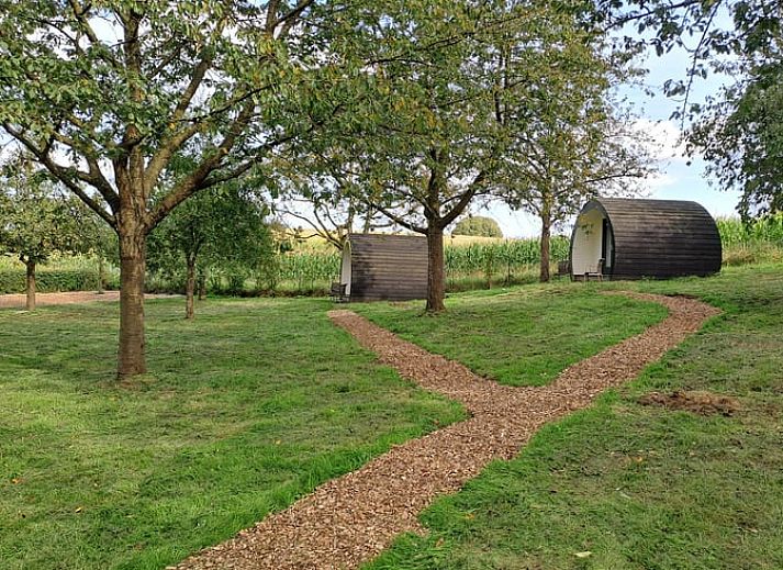 Guest house 399701 - Holiday property Zuid Limburg - Vakantiehuis in Bingelrade