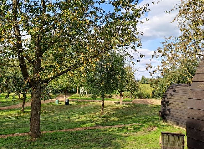 Guest house 399701 - Holiday property Zuid Limburg - Vakantiehuis in Bingelrade