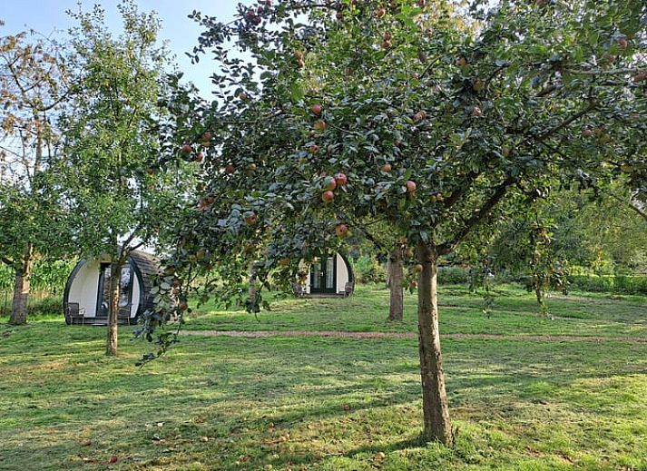 Guest house 399701 - Holiday property Zuid Limburg - Vakantiehuis in Bingelrade