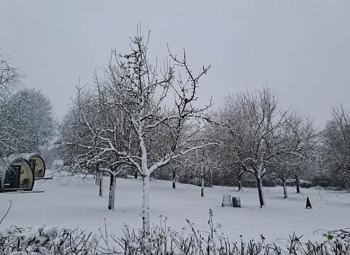 Guest house 399701 - Holiday property Zuid Limburg - Vakantiehuis in Bingelrade