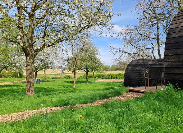 Guest house 399701 - Holiday property Zuid Limburg - Vakantiehuis in Bingelrade