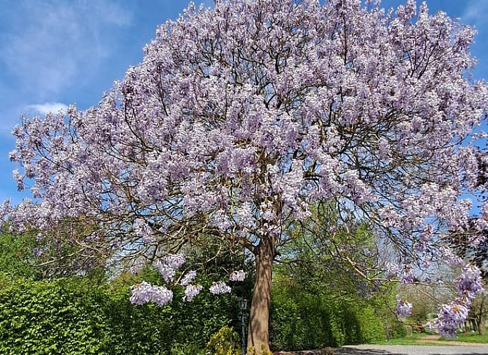 Guest house 399701 - Holiday property Zuid Limburg - Vakantiehuis in Bingelrade