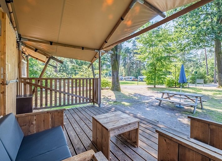 Guest house 400203 - Tent house De Peel - Safaritent 6B