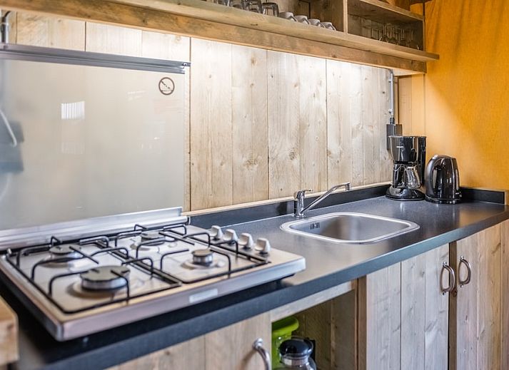 Guest house 400203 - Tent house De Peel - Safaritent 6B