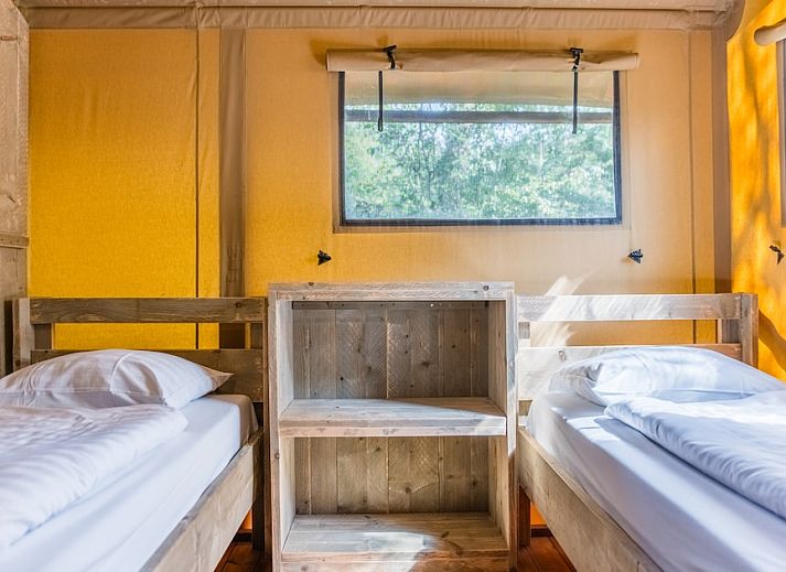 Guest house 400203 - Tent house De Peel - Safaritent 6B