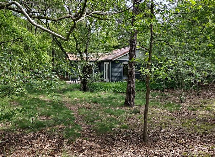Verblijf 400213 - Vakantiewoning De Peel - Huisje in Mierlo