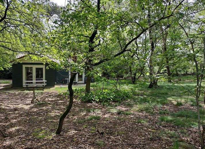 Verblijf 400213 - Vakantiewoning De Peel - Huisje in Mierlo