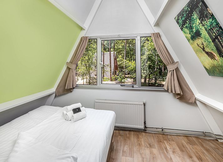 Guest house 400215 - Bungalow De Peel - Bospark 't Wolfsven 7